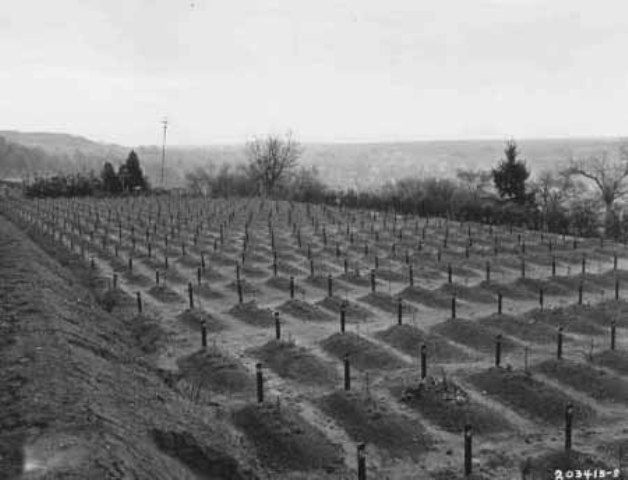 Hadamar Cemetery where Euthanasia victims were buried